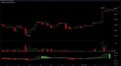加密钱银捕获新鲜动量，BTC价格点心心理学$ 60