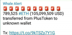 100 000万美元的以外同伴绑定到Plustoken Scam火花野